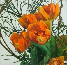 Kalendarz 2013 Tulipany trójdzielny
