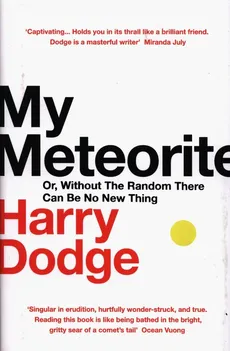 My Meteorite - Outlet - Harry Dodge