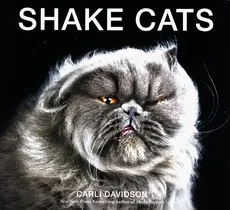 Shake Cats - Outlet - Carli Davidson