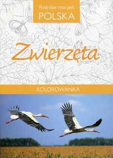 Podróże marzeń Polska Zwierzęta Kolorowanka
