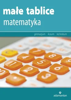 Małe tablice Matematyka 2016 - Outlet - Witold Mizerski