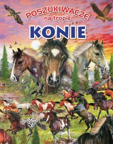 Poszukiwacze na tropie Konie - Outlet