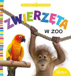 Maluszek poznaje Zwierzęta w zoo - Outlet