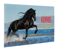 Kalendarz 2019 Konie