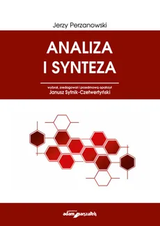 Analiza i synteza - Outlet - Jerzy Perzanowski