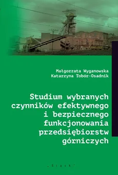 Studium wybranych czynników efektywnego i bezpiecznego funkcjonowania przedsiębiorstw górniczych - Katarzyna Tobór-Osadnik, Małgorzata Wyganowska