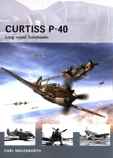 Curtiss P-40 - Carl Molesworth