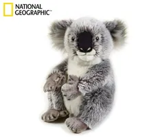 Pluszak Koala Australijski National Geographic