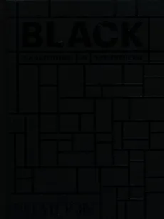 Black Architecture in monochrome Mini