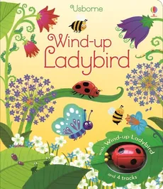 Wind-up Ladybird - Outlet - Fiona Watt