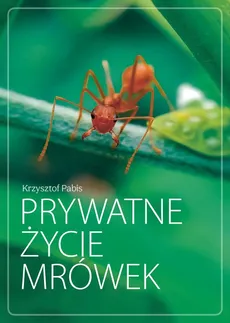 Prywatne życie mrówek - Outlet - Krzysztof Pabis