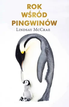 Rok wśród pingwinów - Outlet - Lindsay McCrae
