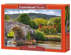 Puzzle Village Corner in Wales 1000