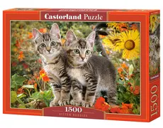 Puzzle Kitten Buddies 1500