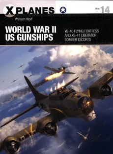 World War II US Gunships - William Wolf