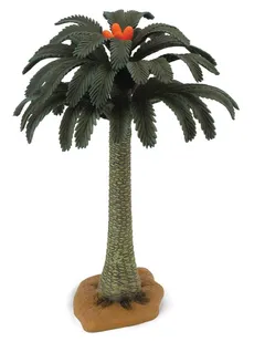 Drzewo Cycad - Outlet