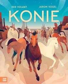Konie - Outlet - Iris Volant