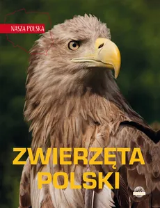 Nasza Polska Zwierzęta Polski - Outlet - Sylwia Weber