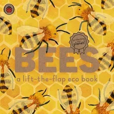 Bees A lift-the-flap eco book - Outlet