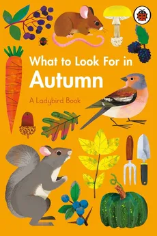 What to Look For in Autumn - Outlet - Elizabeth Jenner