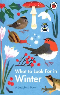 What to Look For in Winter - Outlet - Elizabeth Jenner