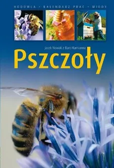 Pszczoły - Outlet - Jacek Nowak