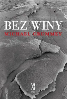 Bez Winy - Outlet - Michael Crummey