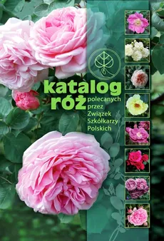 Katalog róż - Outlet