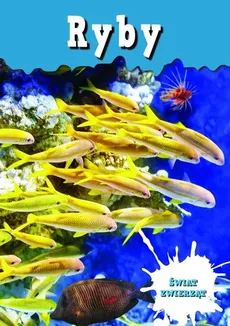 Świat zwierząt Ryby - Outlet