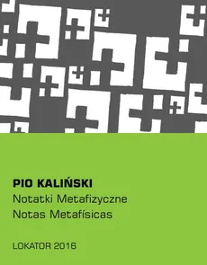 Notatki metafizyczne - Pio Kaliński