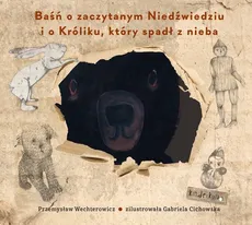 Baśń o zaczytanym Niedźwiedziu i o Króliku, który spadł z nieba - Outlet - Przemysław Wechterowicz