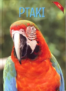 Encyklopedia Fakty Ptaki - Outlet