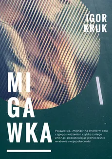 Migawka - Outlet - Igor Kruk