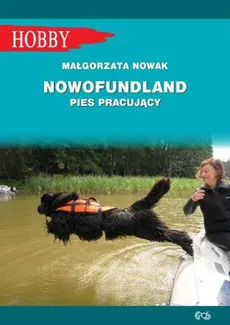 Nowofundlad pies pracujący - Outlet - Małgorzata Nowak