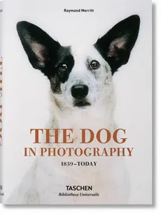 The Dog in Photography - Outlet - Raymond Merritt