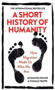 A Short History of Humanity - Outlet - Johannes Krause, Thomas Trappe