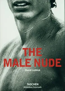 Male Nude - Outlet - David Leddick