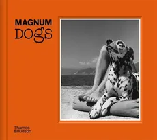 Magnum Dogs - Outlet