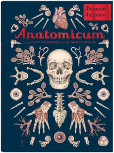 Anatomicum - Outlet - Jennifer Paxton
