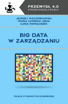 Big data w zarządzaniu - Outlet - Iwona Chomiak-Orsa, Ilona Pawełoszek, Jędrzej Wieczorkowski