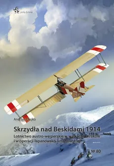Skrzydła nad Beskidami 1914 - Andrzej Olejko