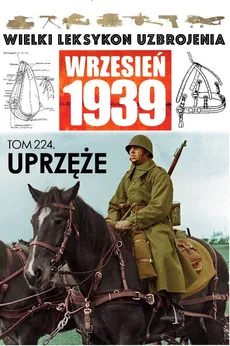 Wielki Leksykon Uzbrojenia Wrzesień 1939 t.224