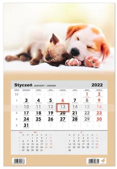 Kalendarz ścienny 2022 jednodzielny Pies i Kot