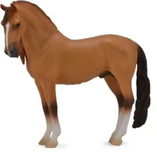 Koń Campolina Stallion Red Dun