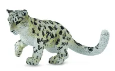 Leopard śnieżny młody bawiący się