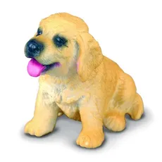 Pies rasy Golden Retriever szczenię