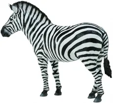 Zebra pospolita