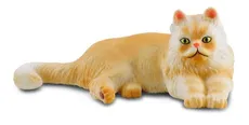 Kot perski leżący