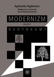 Modernizm między budynkami - Agnieszka Kępkowicz, Małgorzata Sosnkowska, Ilona Woźniak-Kostecka