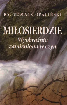 Miłosierdzie - Outlet - Tomasz Opaliński